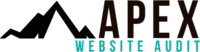 Apex Website Audit
