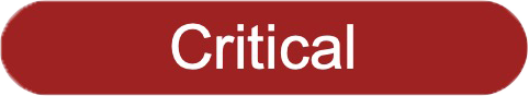 Critical Flag